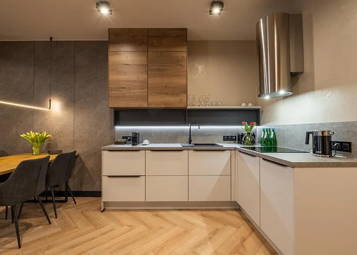 Loft House Apartament